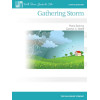 Gathering Storm
